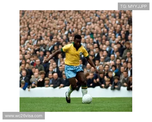 回顾98年世界杯冠军的精彩瞬间与球队的辉煌成就