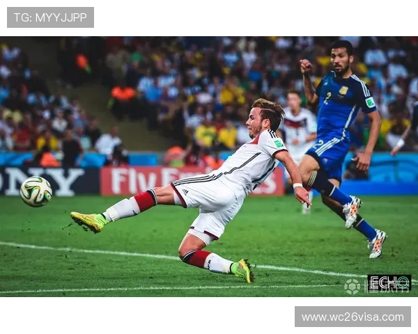 世界杯巴西赔率对比分析2024年最新数据助你精准把握投注机会