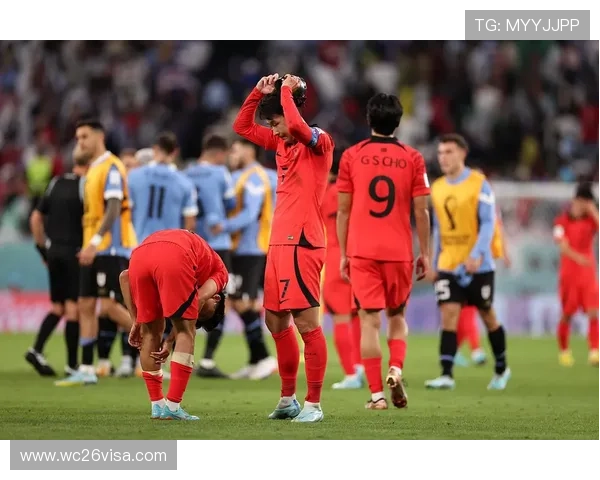 世界杯韩国对乌拉圭全场回放高清完整版免费在线观看，精彩瞬间一网打尽