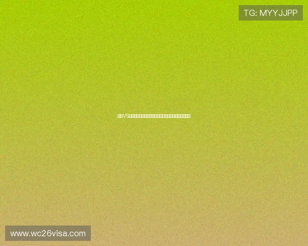 荷兰VS瑞典世界杯比赛数据表：球队战术布局与关键数据分析